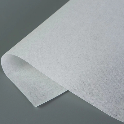 Tergicristallo bianco del poliestere del locale senza polvere del laser per lo schermo Maxclean Microfiber